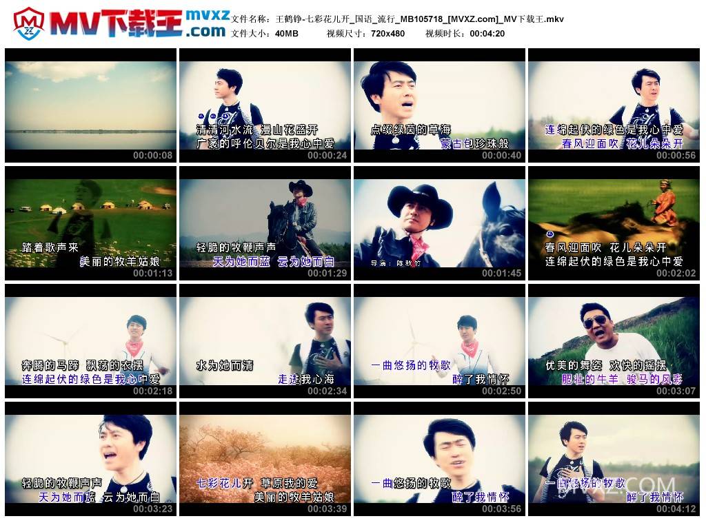 王鹤铮-七彩花儿开_国语_流行_MB105718
